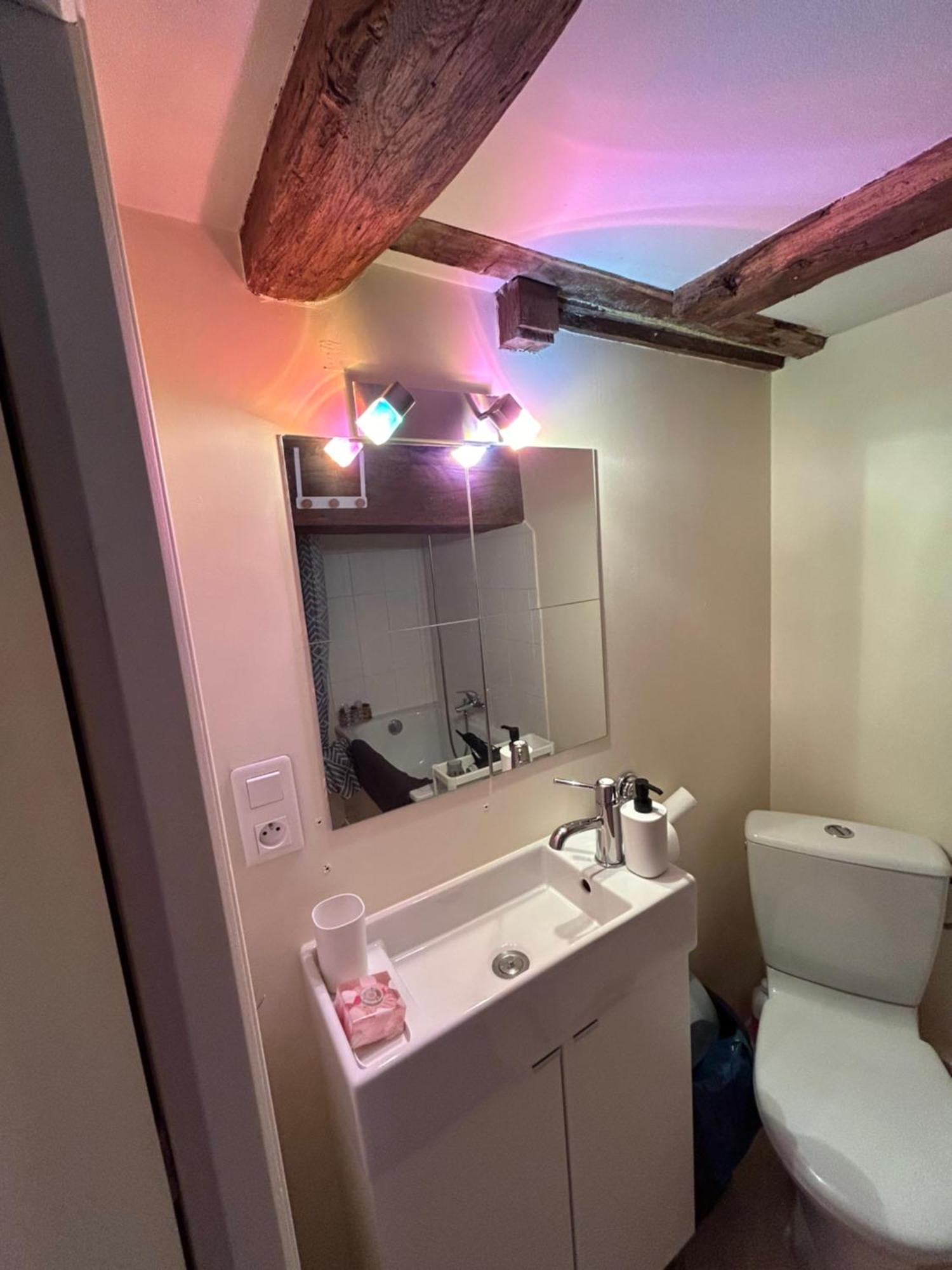 Ferienwohnung Cosy Jacobins Langres Exterior foto